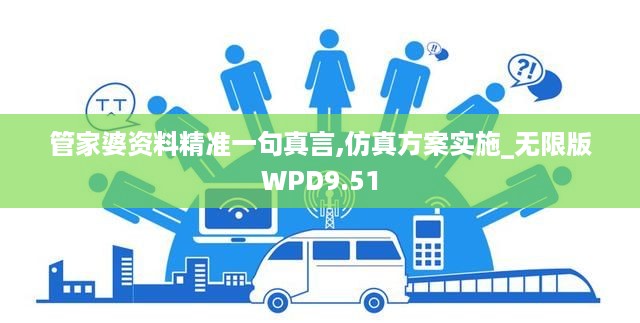 管家婆资料精准一句真言,仿真方案实施_无限版WPD9.51