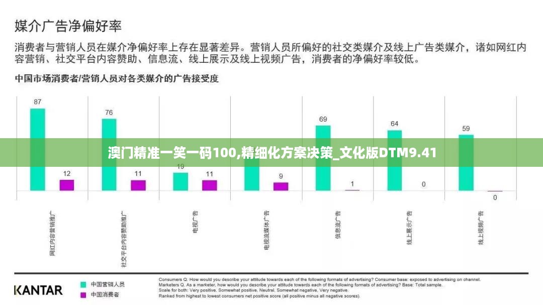 澳门精准一笑一码100,精细化方案决策_文化版DTM9.41