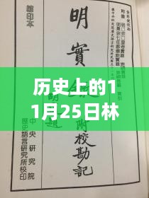 历史上的11月25日林未言靳热门章节，历史上的11月25日林未言靳热门章节，深度测评与介绍