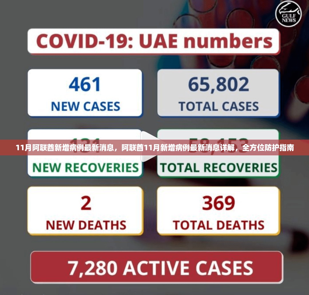 阿联酋11月新增病例最新消息详解，全方位防护指南及最新动态