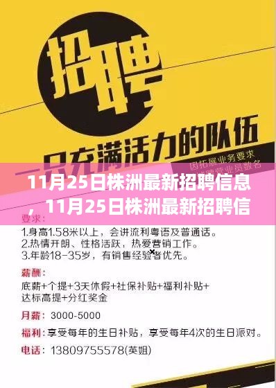 11月25日株洲最新招聘信息全面更新与评测