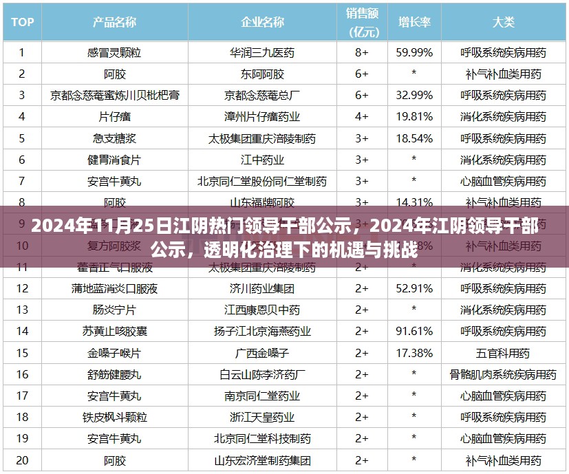 2024年江阴领导干部公示，透明治理下的机遇与挑战展望