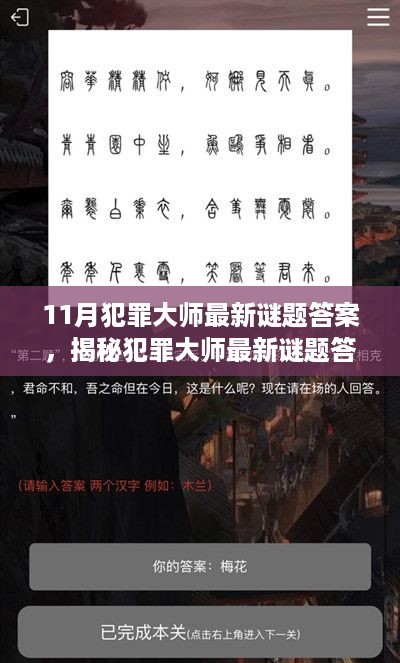 揭秘犯罪大师最新谜题答案，十一月挑战全解析（小红书版）