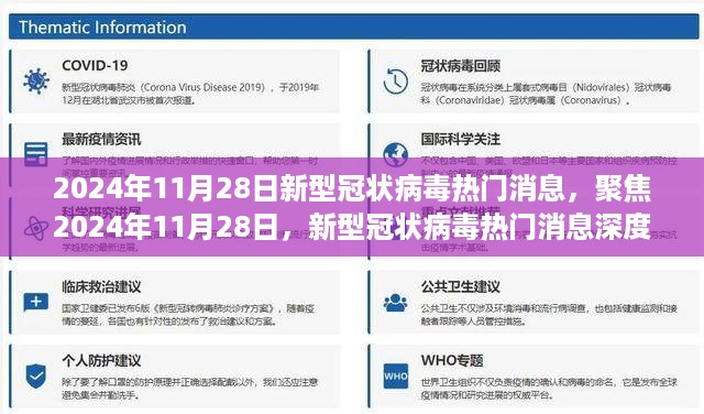 2024年11月28日新型冠状病毒热门消息深度解析与聚焦