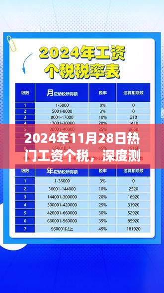 2024年11月28日热门工资个税，深度测评，2024年11月28日热门工资个税产品解析