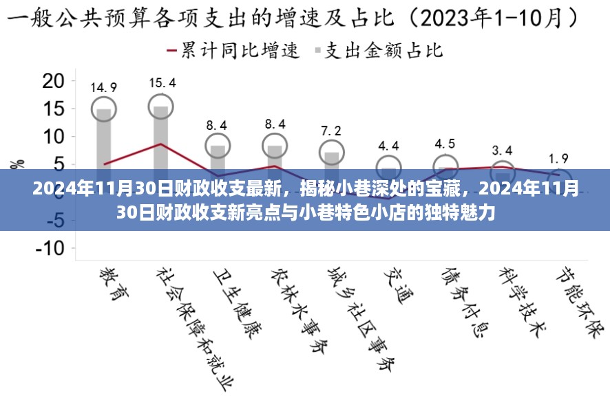 揭秘小巷特色小店独特魅力与最新财政收支亮点，2024年11月30日深度解析