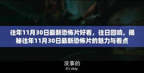 揭秘往年11月30日最新恐怖片的魅力与看点，往日回响，令人心悸的恐怖盛宴！