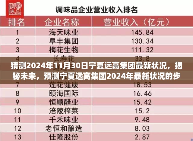 揭秘未来，宁夏远高集团2024年最新状况预测与步骤指南