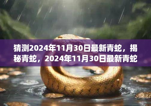 揭秘青蛇，深度评测与介绍最新产品，预测未来趋势，2024年11月30日最新青蛇产品展望