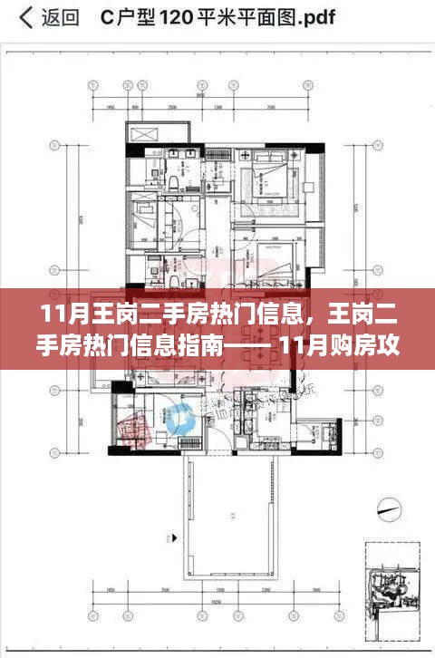 11月王岗二手房热门信息指南，购房攻略与房源挑选全攻略