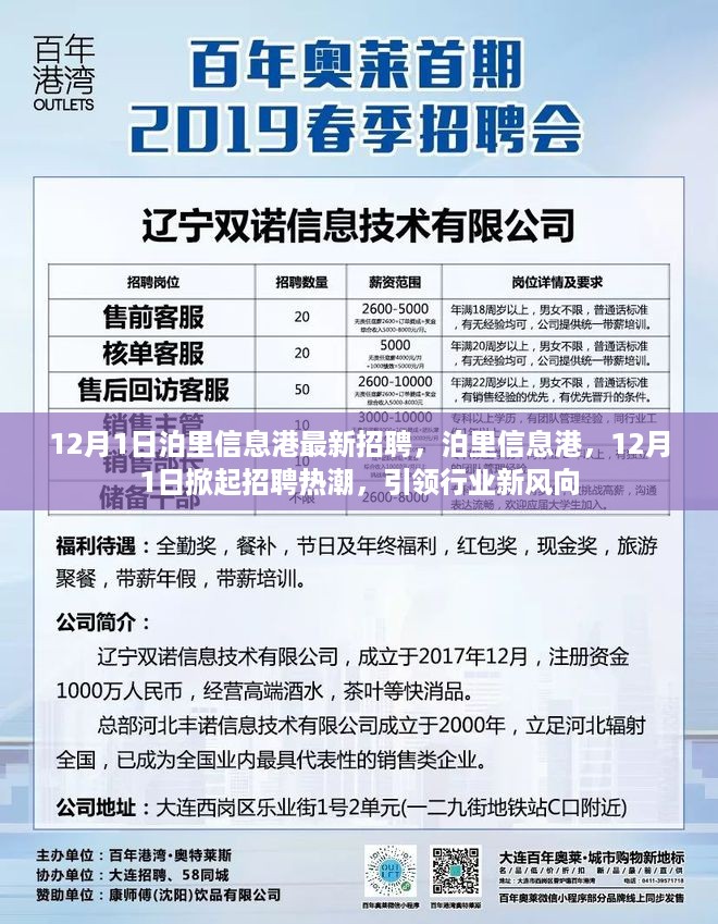 泊里信息港掀起招聘热潮，引领行业风向新动态！