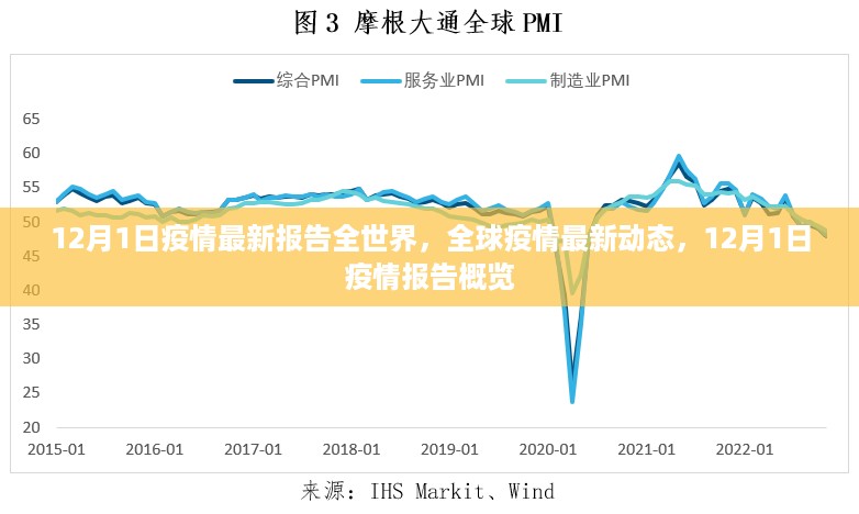 全球疫情动态更新，12月1日最新报告概览