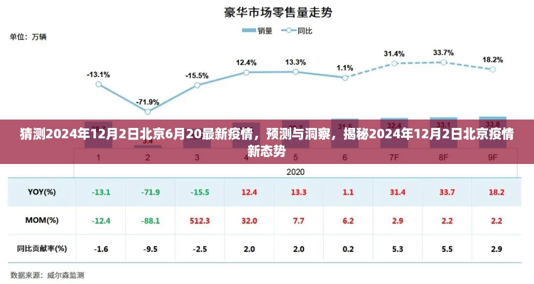 揭秘北京未来疫情趋势，预测与洞察，聚焦2024年疫情新态势至六月最新动态分析