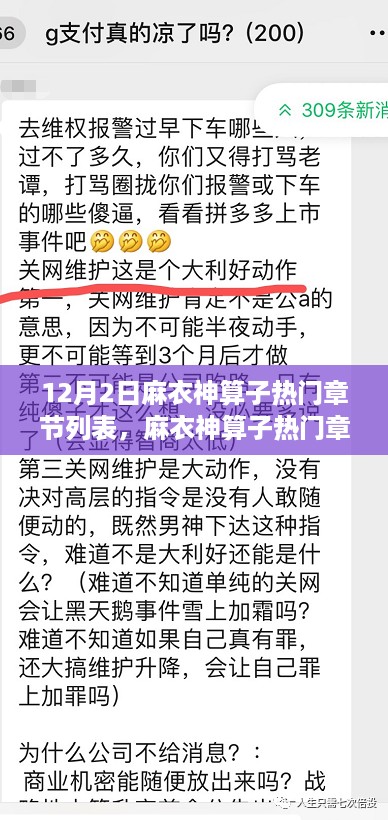 麻衣神算子热门章节深度解析与用户体验分享，12月2日一览表