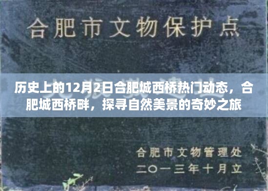 探寻自然美景的奇妙之旅，合肥城西桥畔的热门动态与历史印记