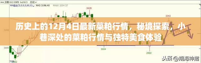 秘境探索，揭秘菜粕行情与小巷深处的独特美食体验（历史最新行情）