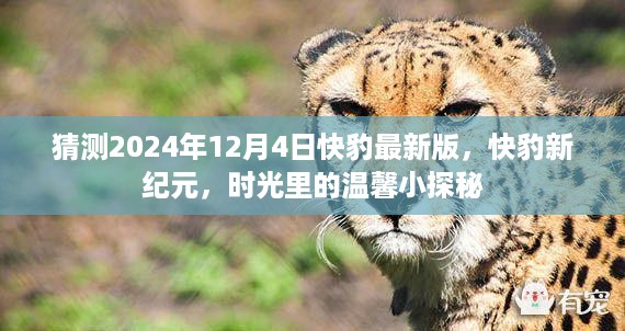 时光探秘，快豹新纪元，预测未来温馨之旅（快豹最新版 2024年12月4日）