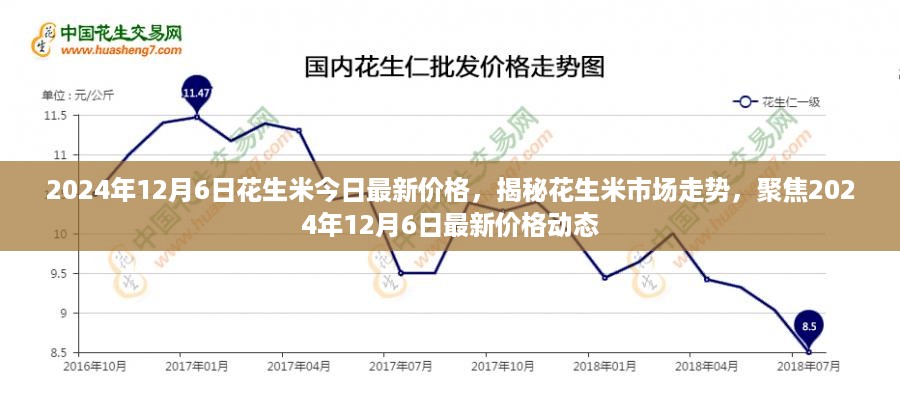 揭秘花生米市场走势，最新价格动态与趋势分析（2024年12月6日）