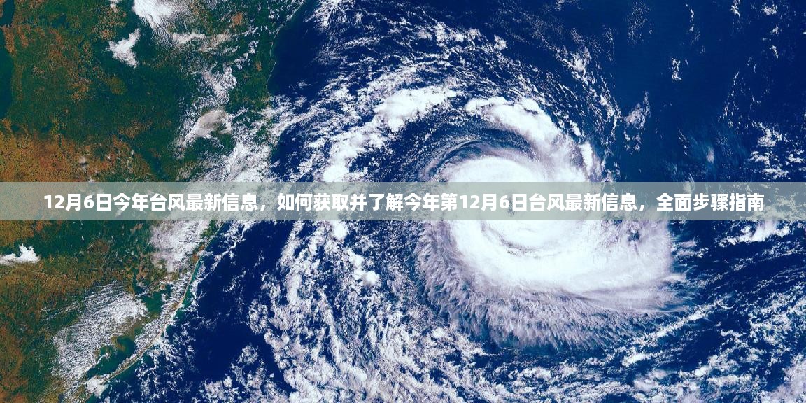 全面步骤指南，了解今年第12月6日台风最新信息获取途径与最新动态