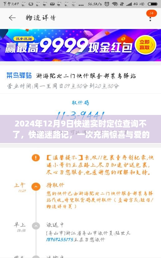 惊喜与爱！快递迷路记中的一次特殊寻找之旅 —— 2024年12月9日