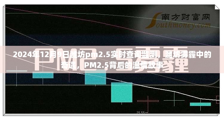 潍坊雾霾中的奇遇，PM2.5背后的温情故事与实时查询监测（2024年12月9日）