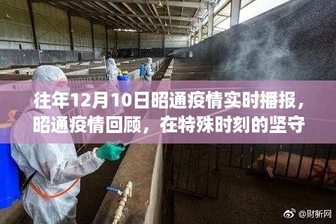 历年十二月十日昭通疫情实时播报纪实，坚守与奋进的回顾与前瞻