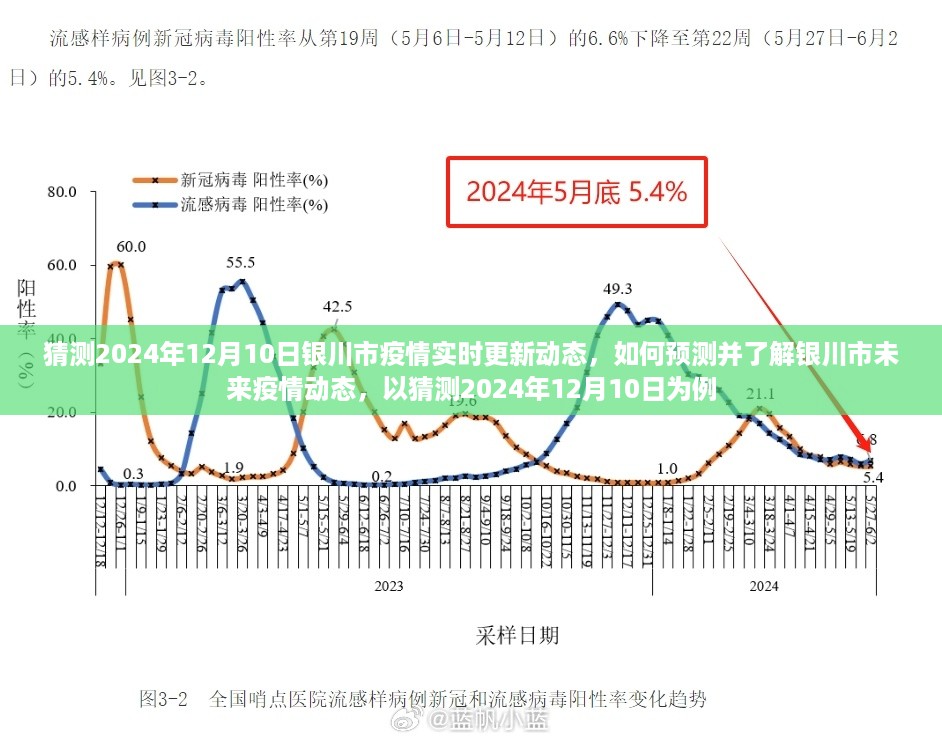 2024年12月10日银川市疫情预测与动态更新猜测