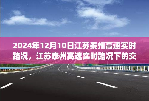 江苏泰州高速实时路况分析与交通流动观点探讨（2024年12月10日）