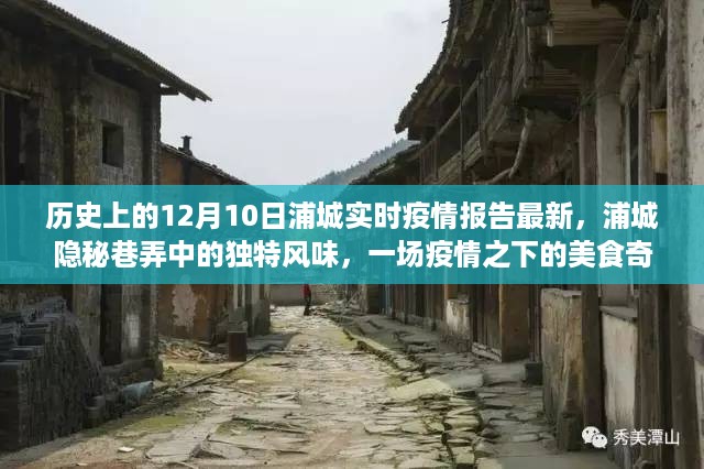 12月10日浦城疫情最新报告，美食奇遇记在隐秘巷弄中的独特风味