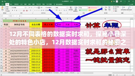 探秘小巷深处的特色小店，揭秘十二月数据实时求和的秘密之旅