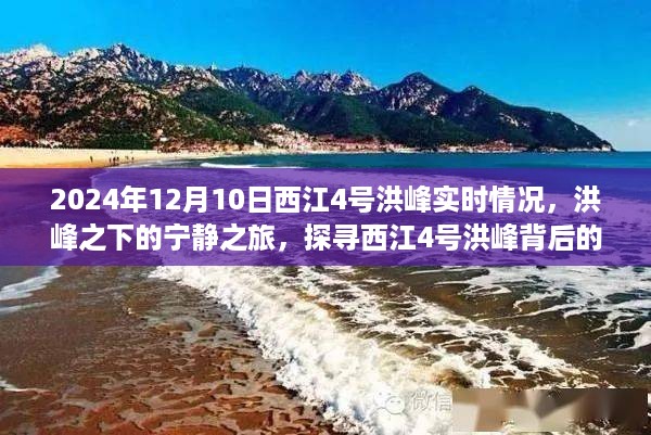 探寻西江洪峰背后的自然秘境，洪峰之下的宁静之旅（实时更新）