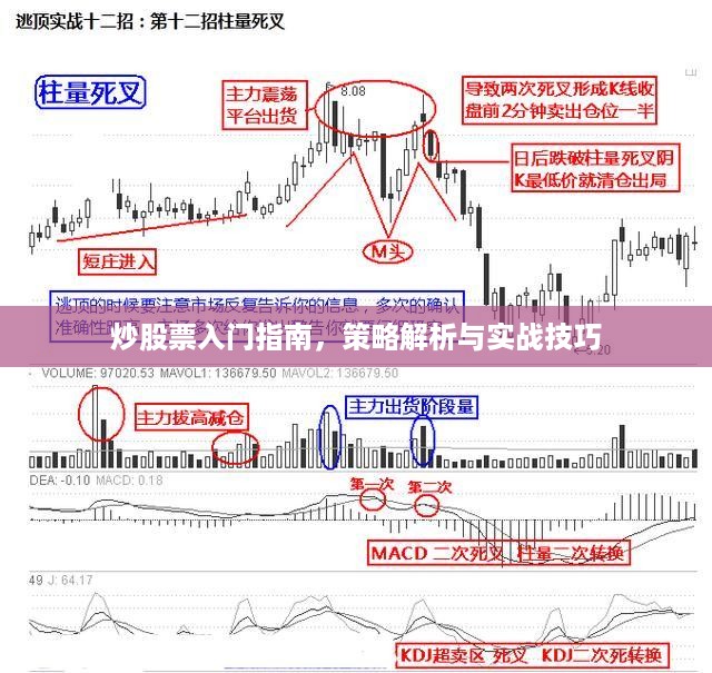 炒股票入门指南，策略解析与实战技巧