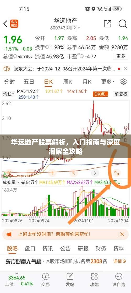 华远地产股票解析，入门指南与深度洞察全攻略