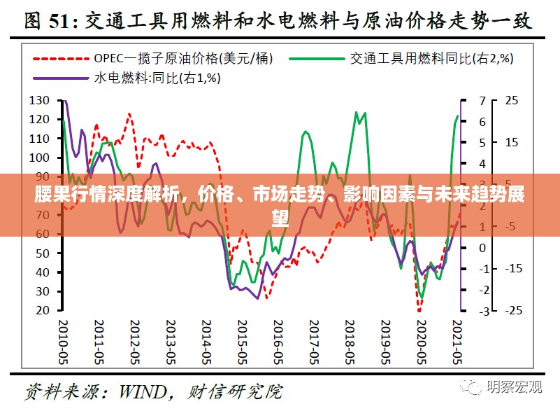 腰果行情深度解析，价格、市场走势、影响因素与未来趋势展望