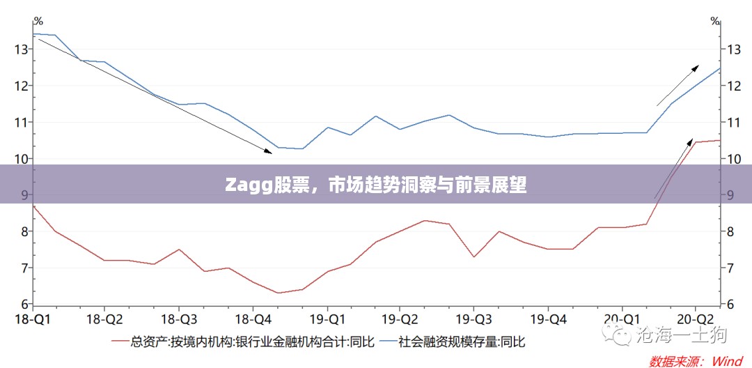 Zagg股票，市场趋势洞察与前景展望