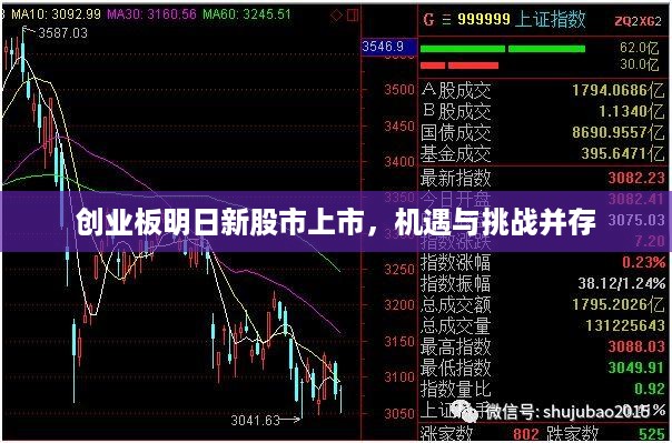 创业板明日新股市上市，机遇与挑战并存