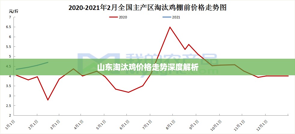 山东淘汰鸡价格走势深度解析