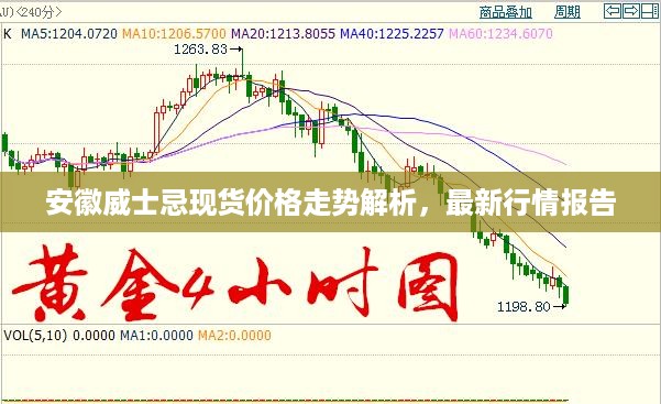 安徽威士忌现货价格走势解析，最新行情报告