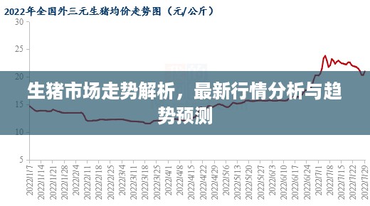 生猪市场走势解析，最新行情分析与趋势预测