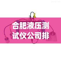 合肥液压测试仪公司排名揭秘，行业洞察与深度分析