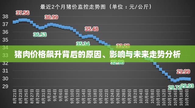 猪肉价格飙升背后的原因、影响与未来走势分析