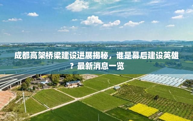 成都高架桥梁建设进展揭秘，谁是幕后建设英雄？最新消息一览