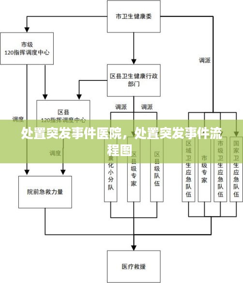 处置突发事件医院，处置突发事件流程图 