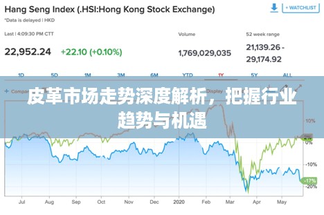 皮革市场走势深度解析，把握行业趋势与机遇