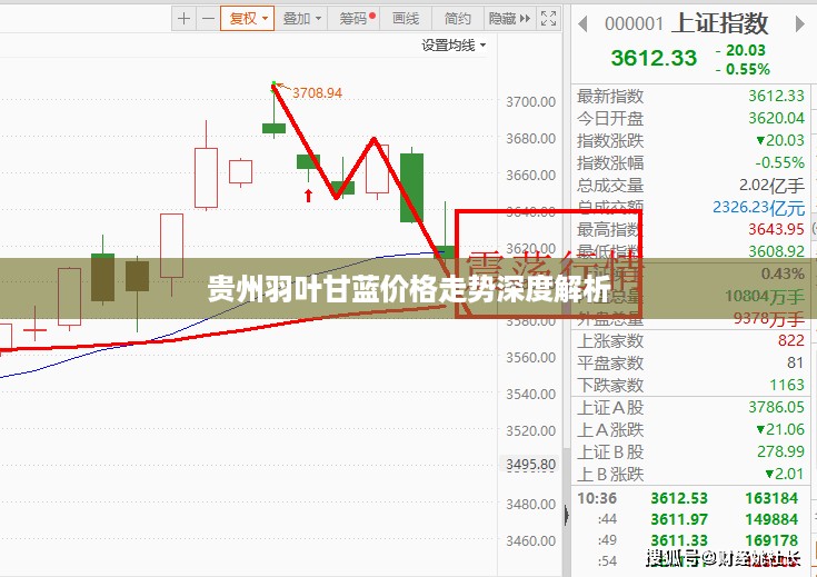 贵州羽叶甘蓝价格走势深度解析