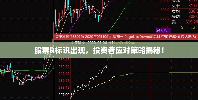 股票R标识出现，投资者应对策略揭秘！