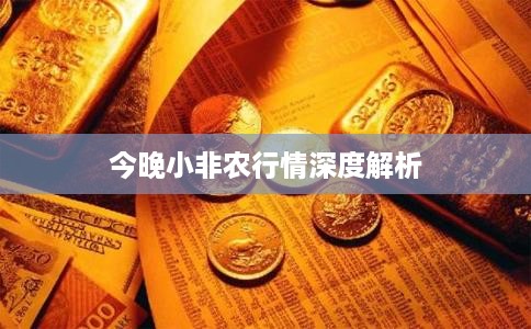 今晚小非农行情深度解析