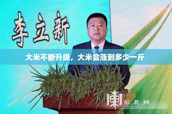 大米不断升级，大米会涨到多少一斤 