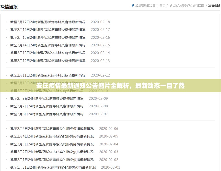 安庄疫情最新通知公告图片全解析，最新动态一目了然